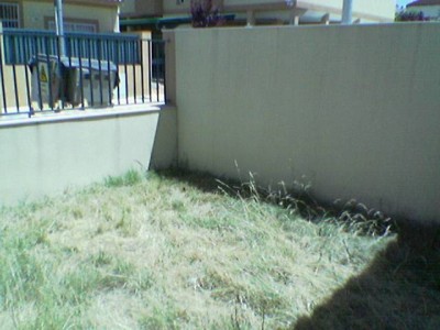 normal_Imagen%28194%29.jpg