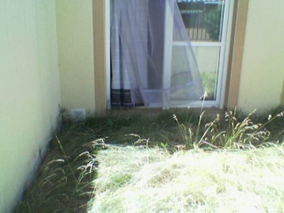 normal_Imagen%28195%29.jpg