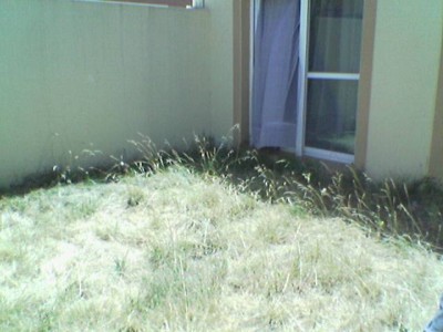normal_Imagen%28197%29.jpg