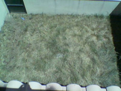 normal_Imagen%28198%29.jpg