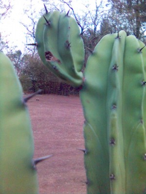 normal_Imagen%2838%29.jpg
