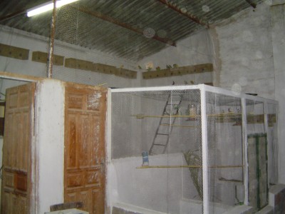 normal_Imagen-alberto%20026.jpg