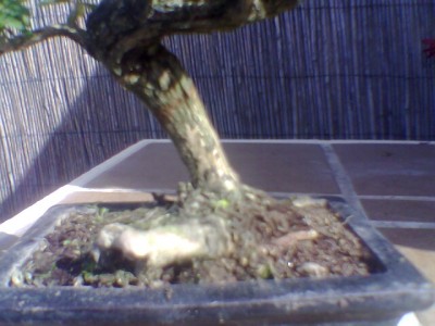 normal_Imagen020.jpg