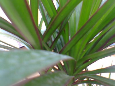 normal_Imagen029%7E0.jpg