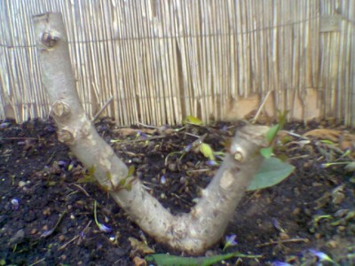 normal_Imagen035.jpg