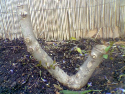 normal_Imagen036.jpg