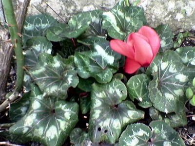 normal_Imagen071.jpg