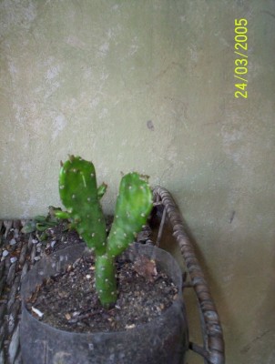 normal_Imagenes%20016.jpg