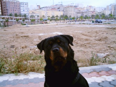 normal_Img00016.jpg