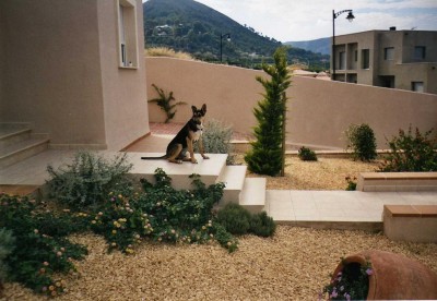 normal_img044222.JPG