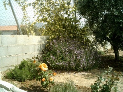normal_Img_0007.jpg