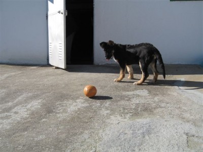normal_IMG_0026.JPG