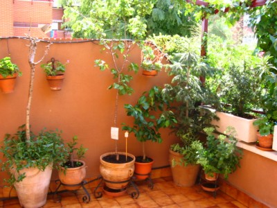 normal_IMG_0055.JPG