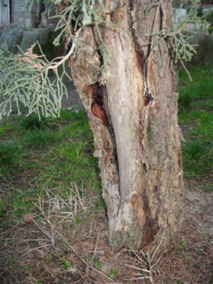 normal_IMG_0108.JPG