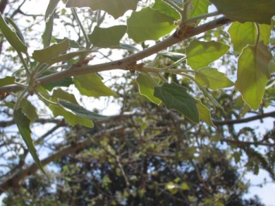 normal_IMG_0537_640x480.jpg