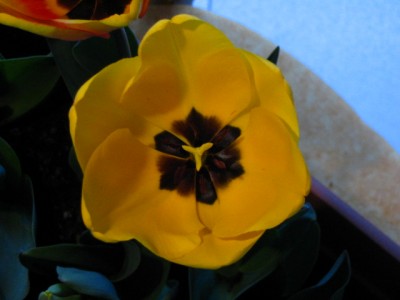 normal_IMG_0633.JPG