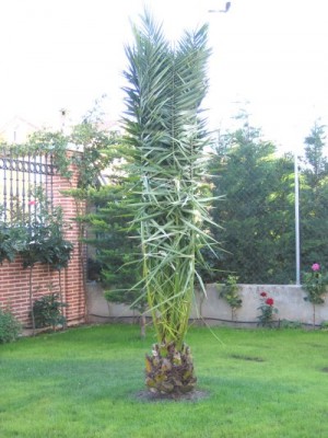 normal_Img_0839.jpg