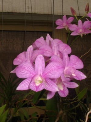 normal_IMG_2515.jpg