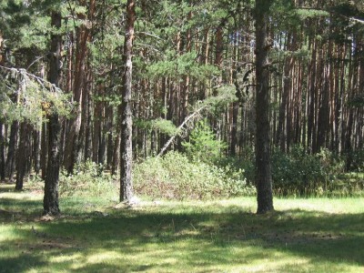 normal_IMG_3936.JPG