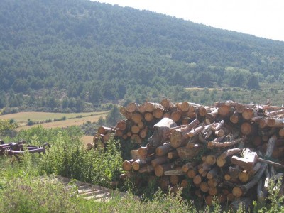 normal_IMG_3951.JPG