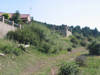 normal_IMG_3952.JPG