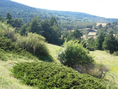 normal_IMG_3965.JPG