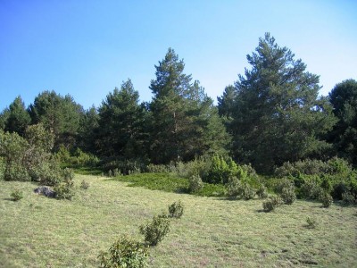 normal_IMG_3971.JPG
