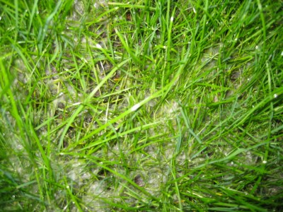 normal_IMG_3980.JPG