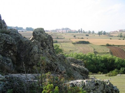 normal_IMG_4022.JPG