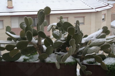 normal_IMG_4318_1_1.JPG
