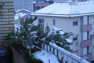 normal_IMG_4322_1_1.JPG
