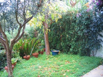 normal_IMG_4610_P.JPG