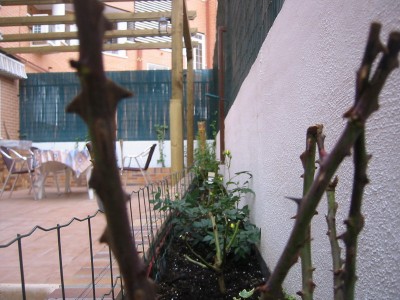 normal_IMG_5481.jpg