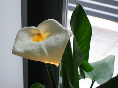 normal_IMG_9804a.jpg