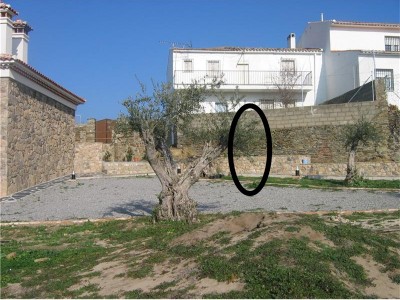 normal_jard%EDn%20j%20y%20m%202%7E0.jpg