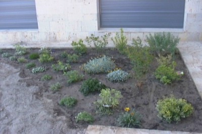 normal_jardin%20006.jpg