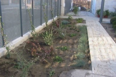 normal_jardin%20007.jpg
