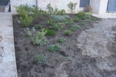 normal_jardin%20008.jpg