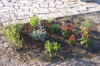 normal_jardin%20010.jpg
