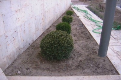 normal_jardin%20012.jpg