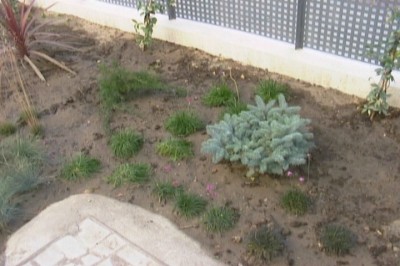 normal_jardin%20016.jpg
