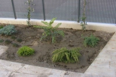 normal_jardin%20017.jpg