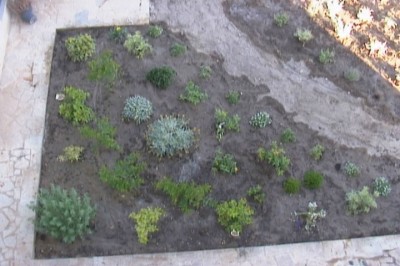 normal_jardin%20019.jpg