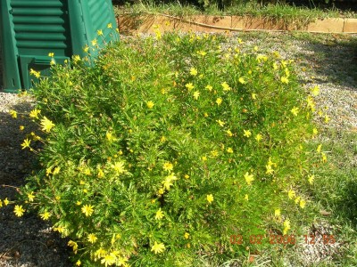 normal_Jardin%201%20011.jpg