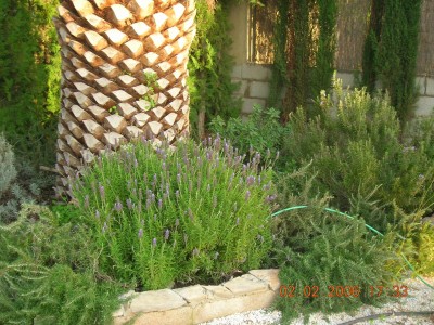 normal_Jardin%201%20043.jpg
