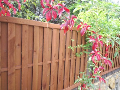 normal_jardin%20162.jpg