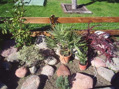 normal_jardin%20173.jpg