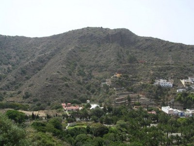 normal_Jardin%20Botanico%201.jpg