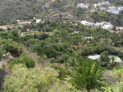 normal_Jardin%20Botanico%202.jpg