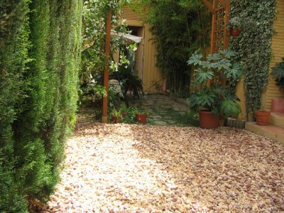 normal_jardin%20del%2019.jpg